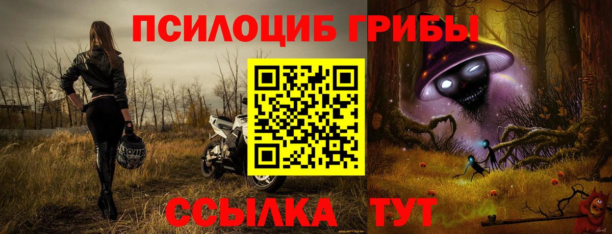 Галлюциногенные грибы Psilocybine cubensis Арсеньев