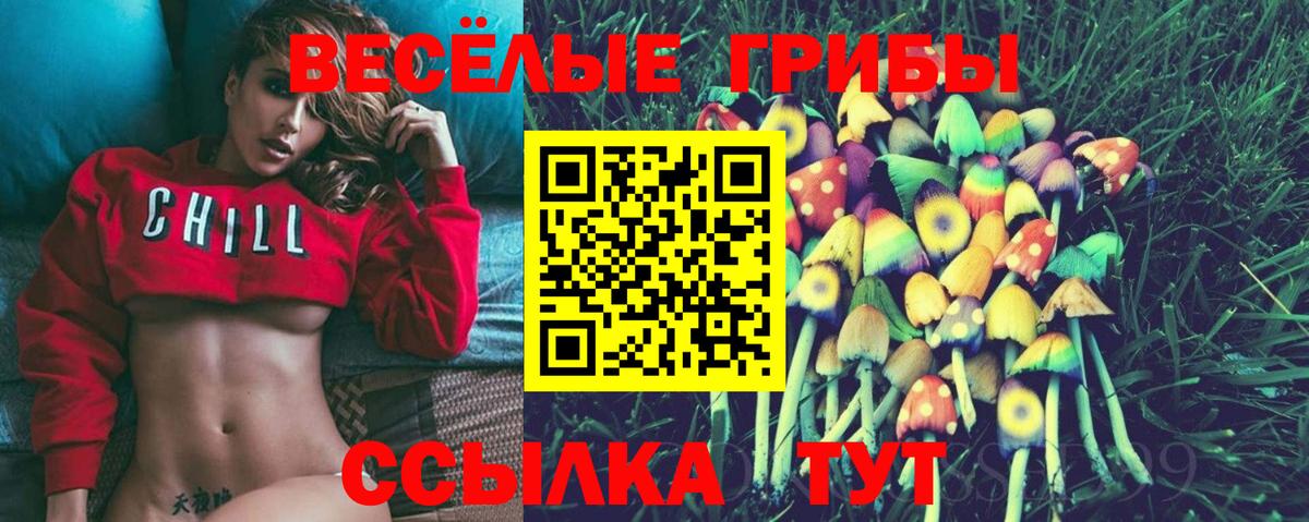 Арсеньев  Галлюциногенные грибы ЛСД  Вход с VPN  Псилоцибиновые грибы Psilocybine cubensis 